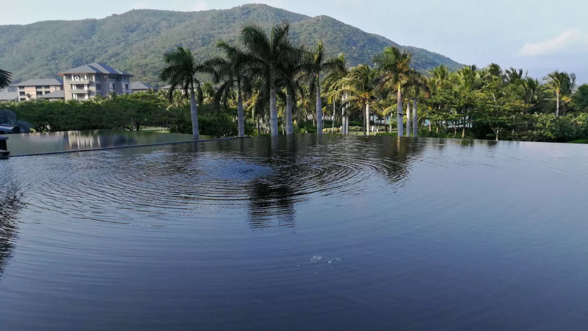 社戏课文解析精讲(社戏全文解读)-流云流梦