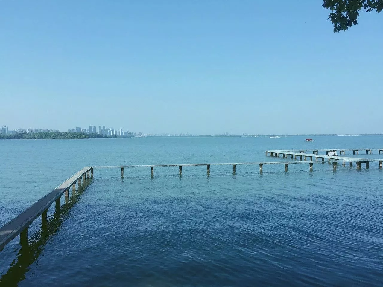 著名现代诗歌精选优美(现代诗歌精选励志诗)