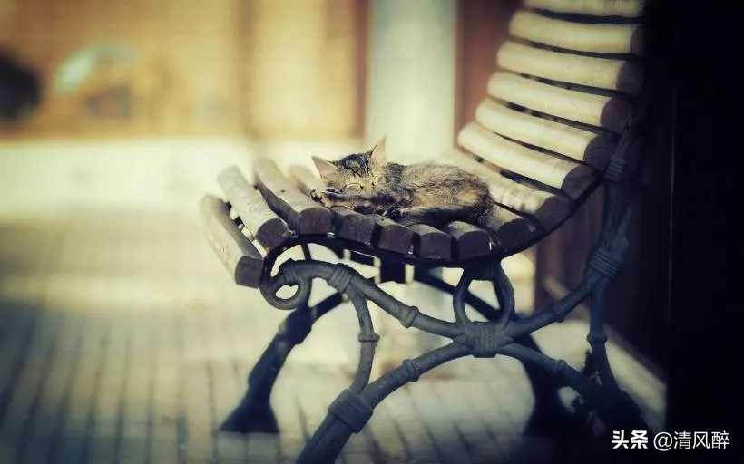 关于咖啡诗意句子（描写咖啡有诗意的15条美句）-流云流梦