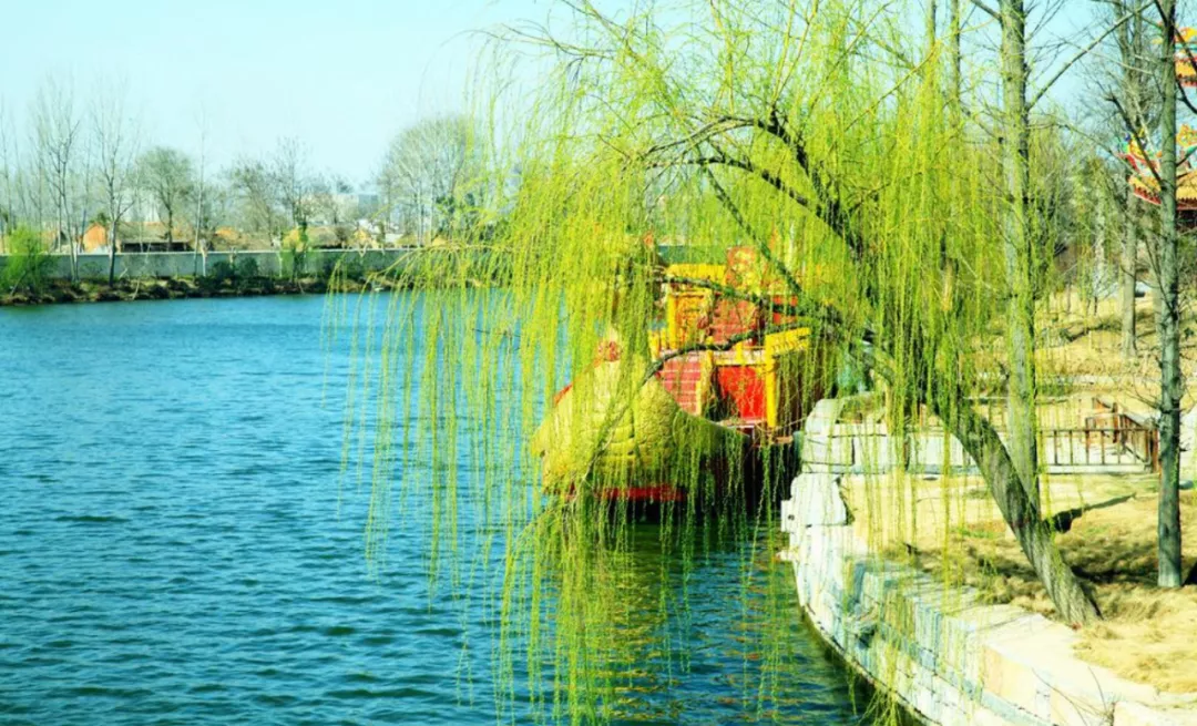 柳树古诗有哪些(关于柳树的古诗大全)