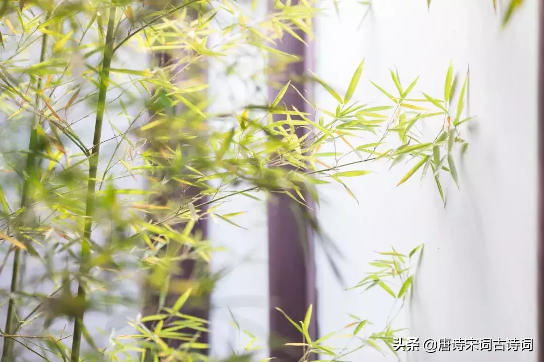 辛弃疾的诗词有哪些(25首代表性诗词赏析)