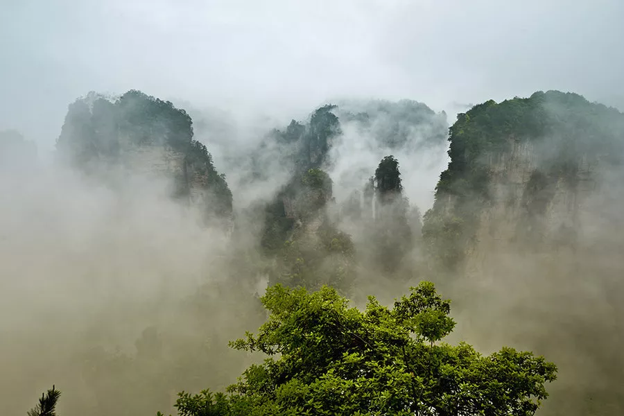 老子五章翻译及原文(大学语文老子五章全文解析)