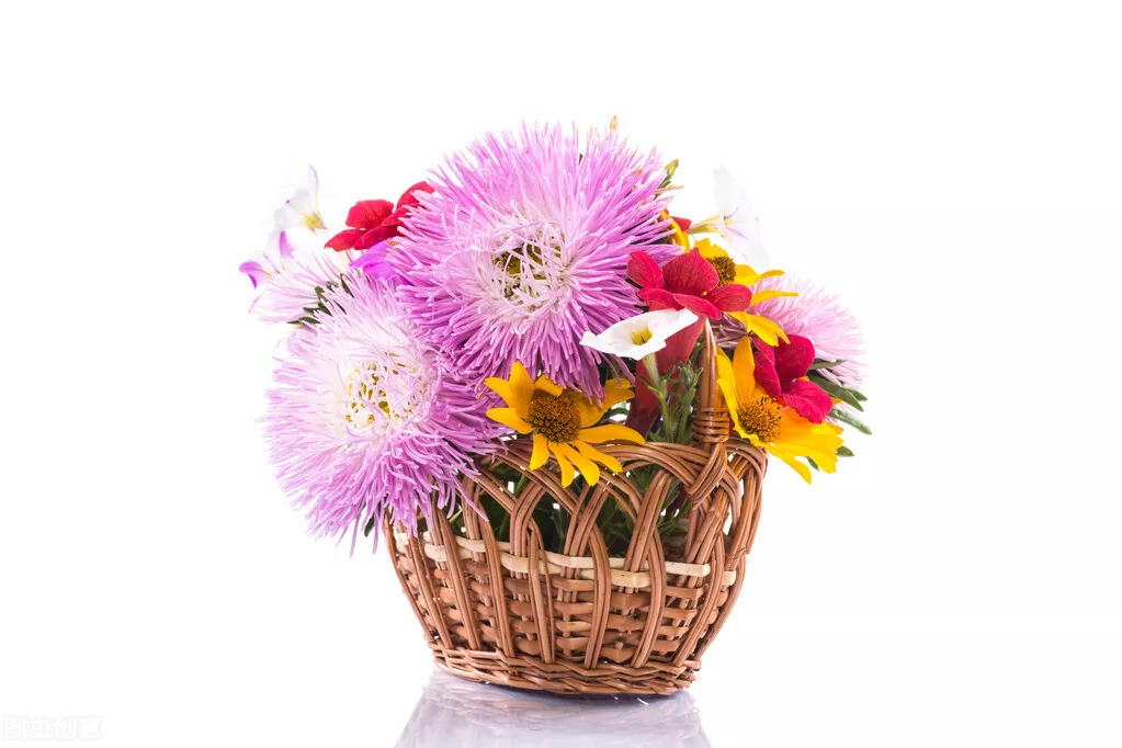 关于感恩老师的诗句有哪些(对老师辛苦感谢的诗句)