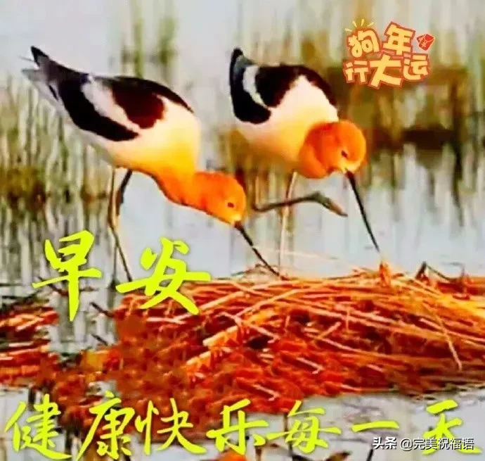 形容向日葵的唯美句子（愿你像向日葵一样语录）