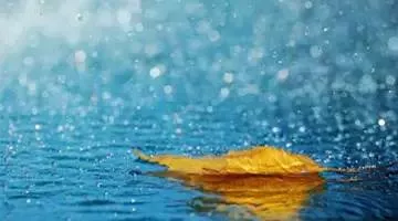 现代爱情诗歌大全（现代简短小情诗）-流云流梦