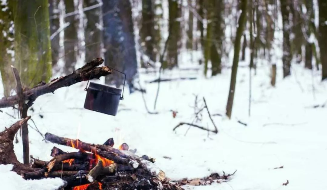 描写冬天的古诗有哪些(关于冬天的诗句古诗)