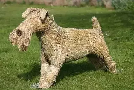 老子五章翻译及原文(大学语文老子五章全文解析)