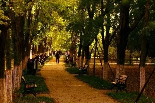 写景好段摘抄有哪些（写景的好词好句好段摘抄）-流云流梦