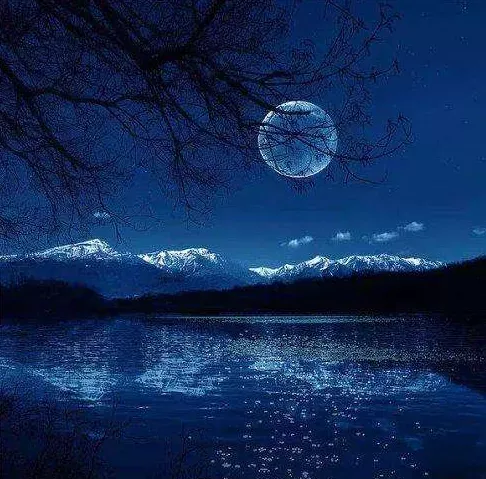 关于月亮的诗句有哪些(关于月亮的绝美诗句推荐)-流云流梦