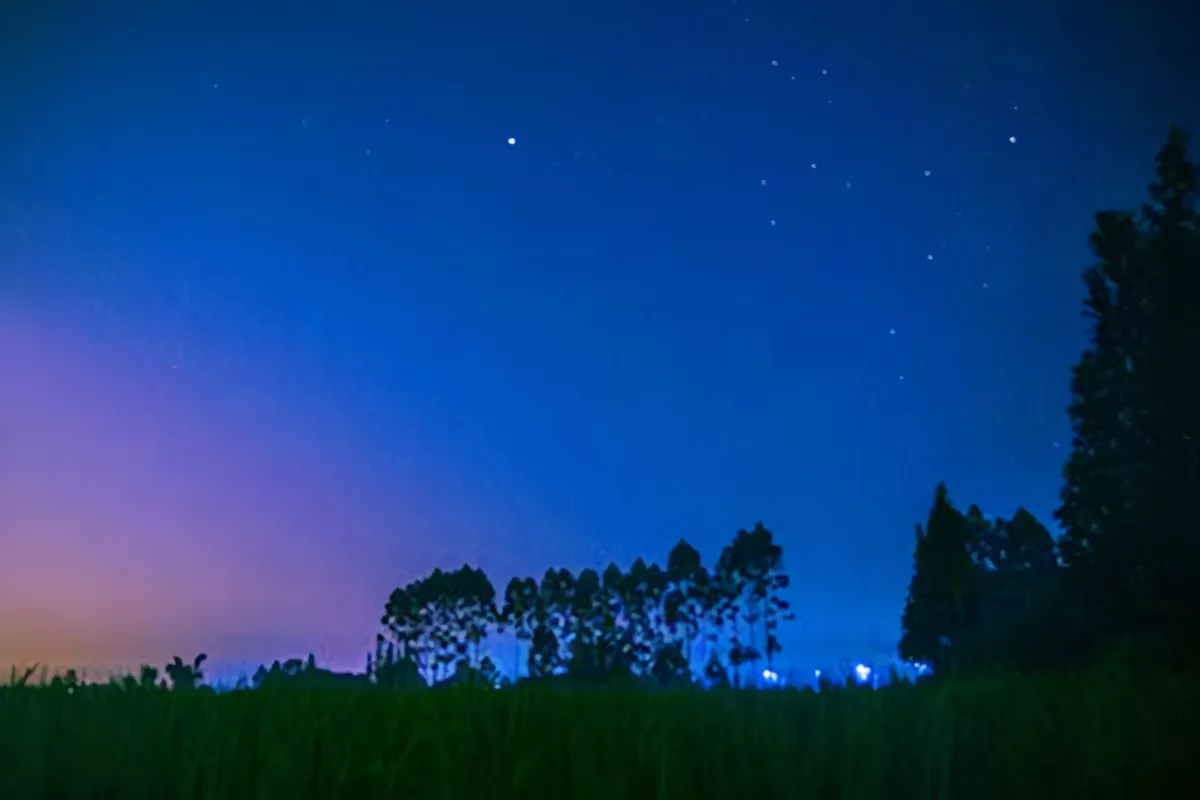 西江月夜行黄沙道中的诗意(全诗赏析及诗意解读)