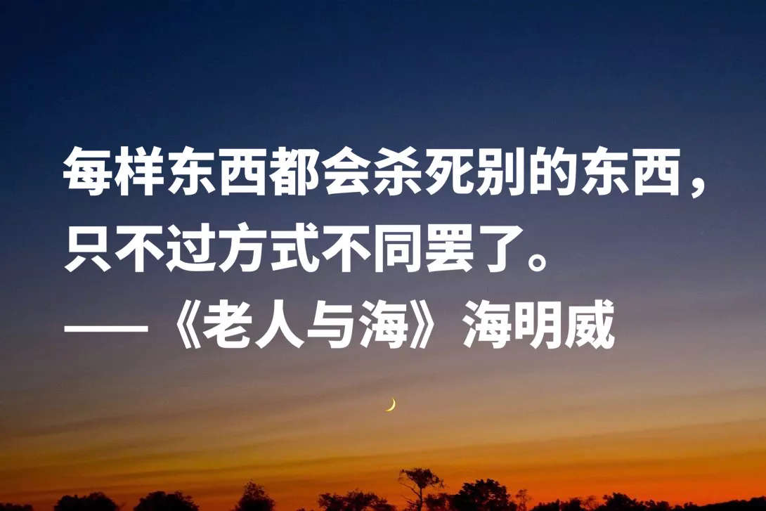 老人与海好词100个(老人与海的优美词语)