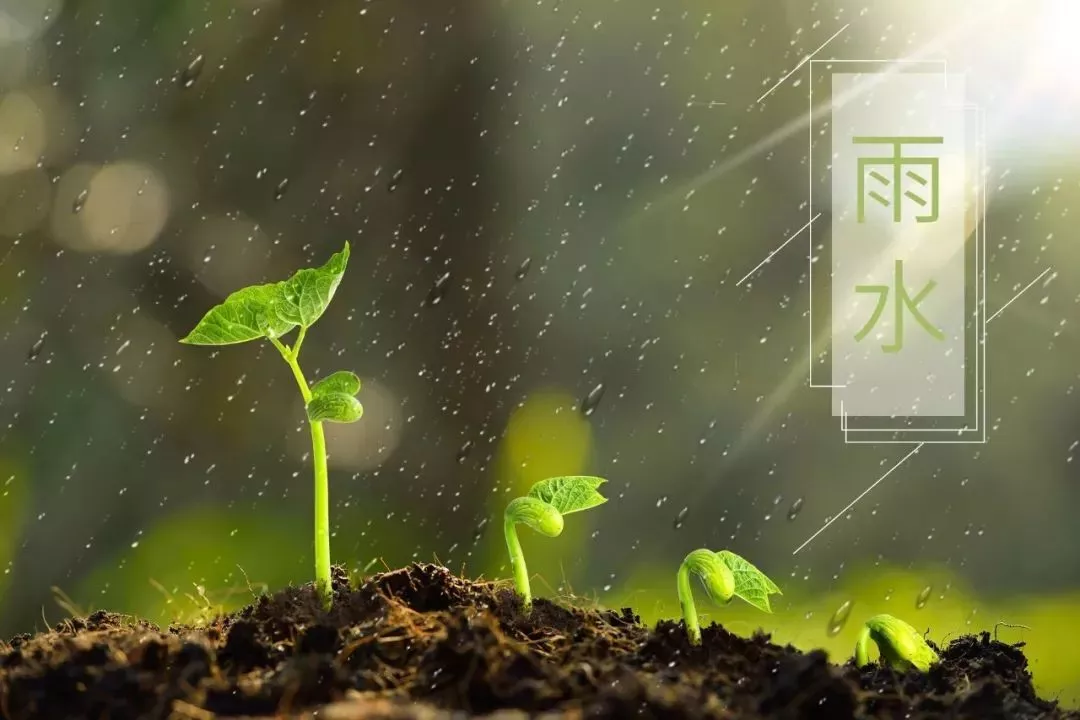 写春雨的诗句有哪些（十首最美描写春雨的诗词）-流云流梦