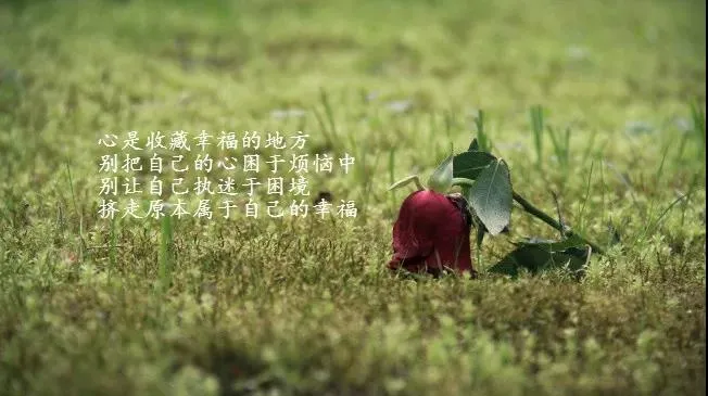 关于人生感悟的句子（人生哲理的句子经典）-流云流梦