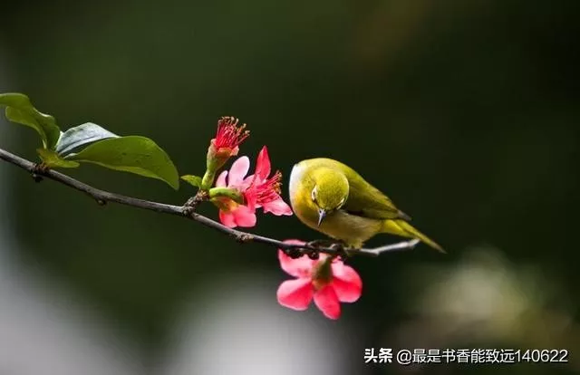 带颜色的诗句飞花令(描写颜色的古诗句)