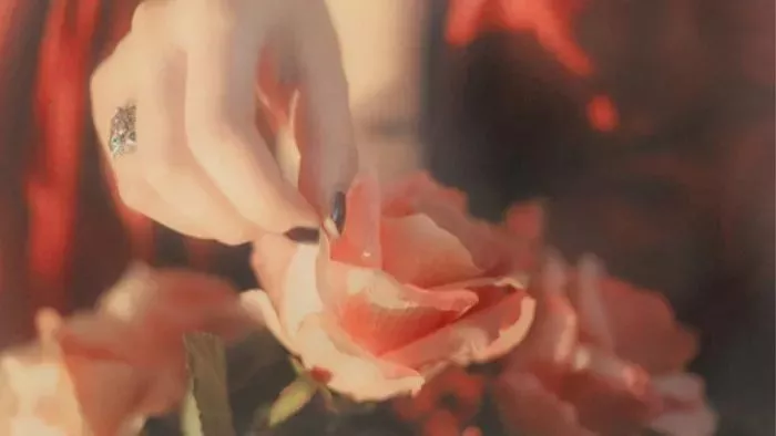 摸鱼儿更能消几番风雨赏析(辛弃疾的摸鱼儿拼音带解释)-流云流梦