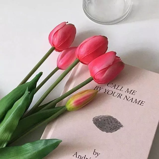 8个字的深意的短句子（有内涵有深意的八字短句）-流云流梦