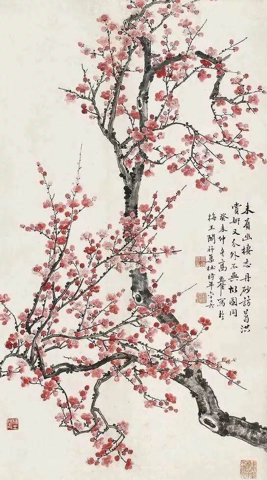 关于梅花的诗句有哪些（最经典的梅花诗）-流云流梦