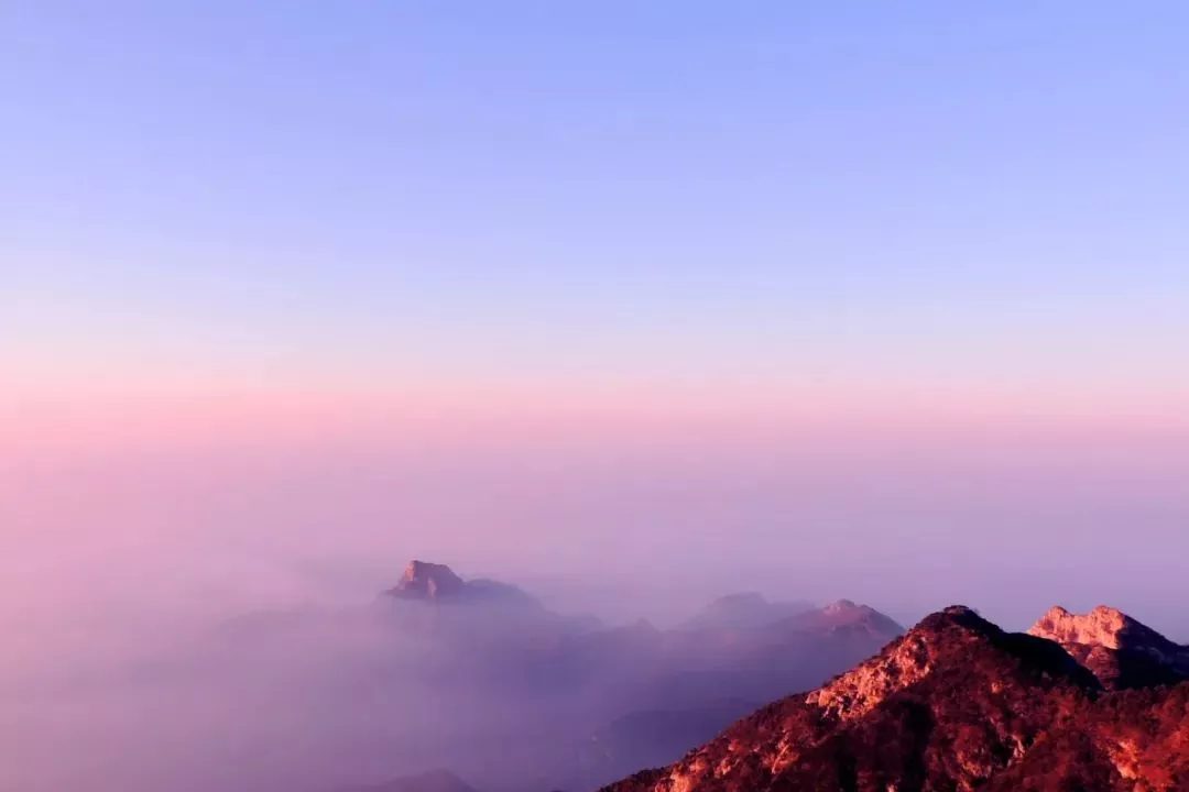 形容友情的诗句有哪些(描写友谊的唯美诗句分享)