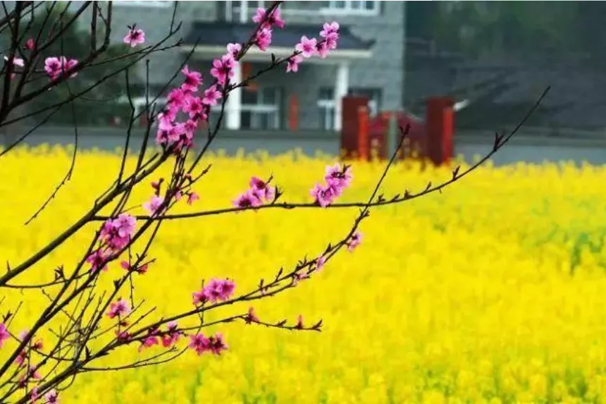 和春天有关的古诗有哪些（描写赞美春天的古诗）