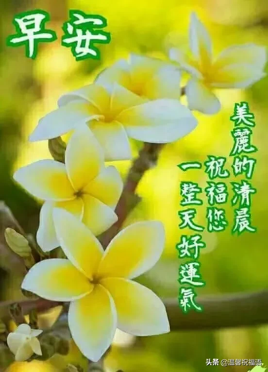 祝福的话简短唯美(阳光心态正能量的句子)