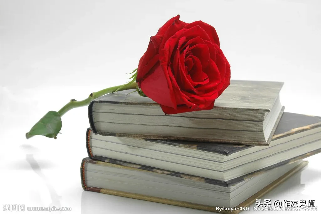 沈从文简介及作品介绍（沈从文生平简介概括）-流云流梦