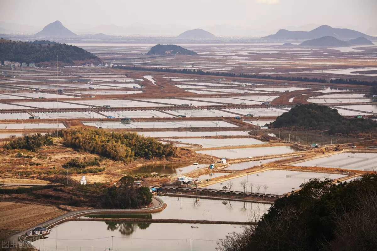 人生若只如初见散文（林徽因人生若只如初见摘抄）-流云流梦